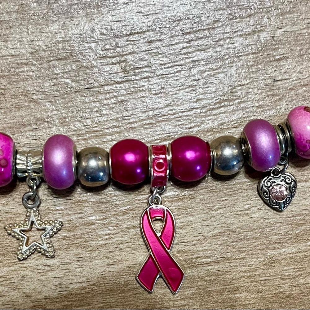 Pink and Silver Ribbon Charm Set (17 pcs)